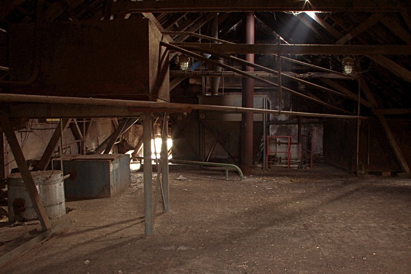photo10.jpg