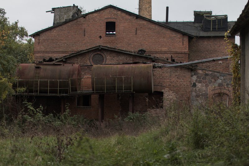 photo.jpg