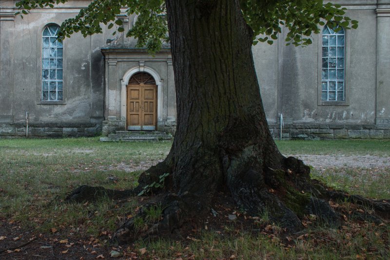 photo.jpg