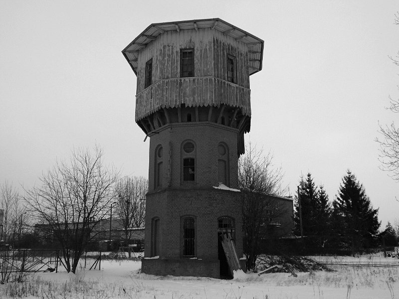 photo.jpg