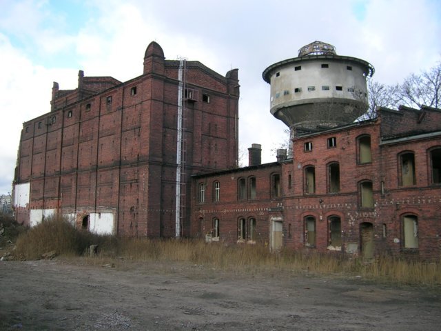 photo.jpg