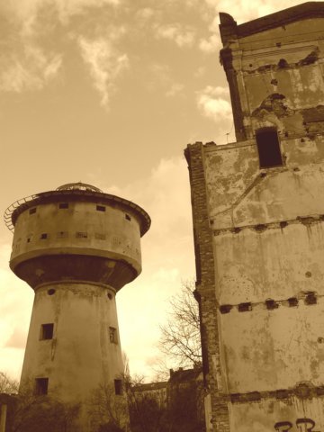 photo4.jpg