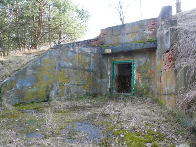 photo.jpg