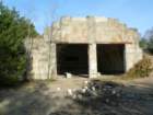 photo3_small.jpg