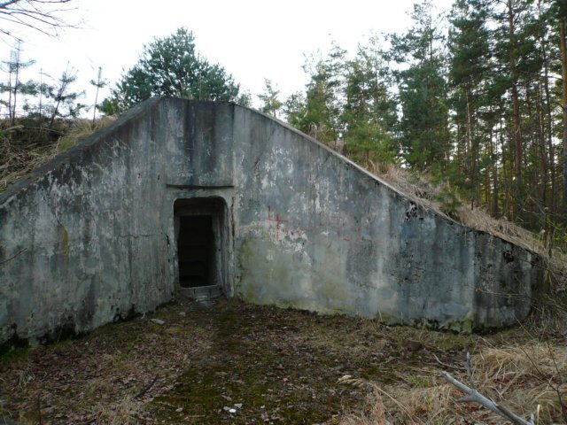photo6.jpg