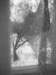 photo23_small.jpg