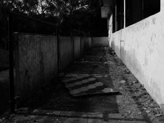 photo14.jpg