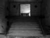 photo4_small.jpg