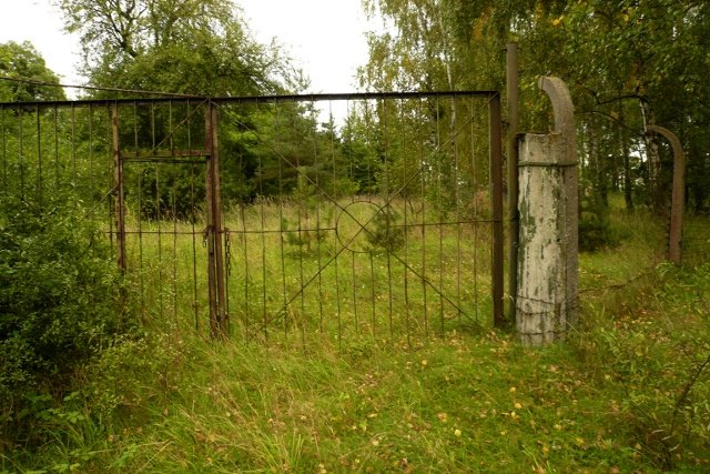 photo.jpg