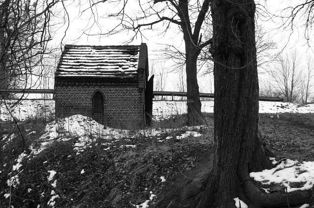 photo.jpg