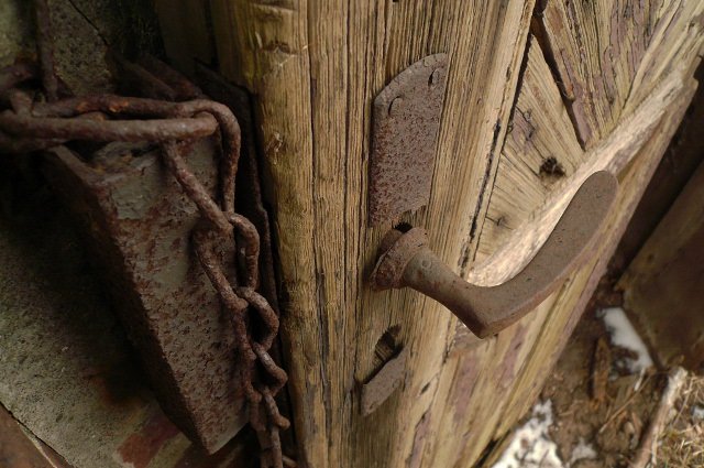 photo4.jpg