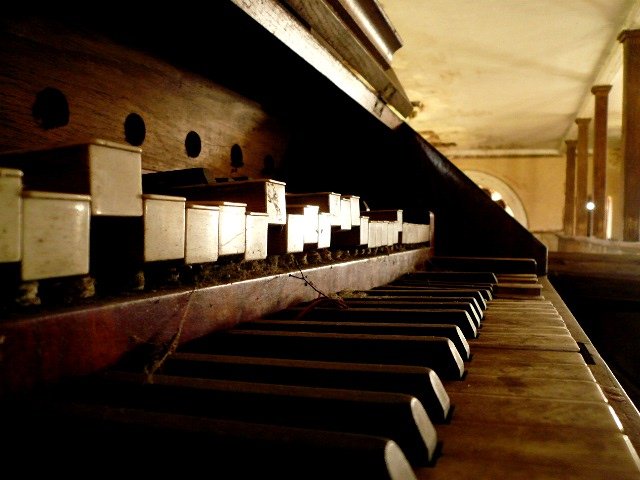 photo11.jpg