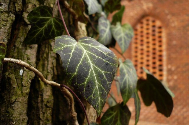 photo9.jpg