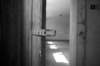 photo10_small.jpg