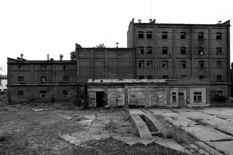 photo2.jpg