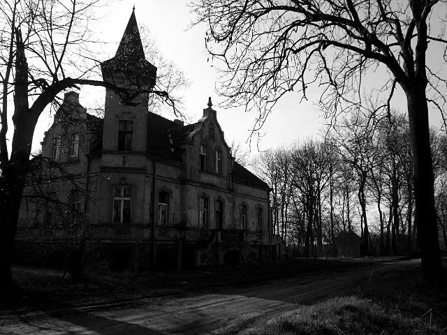 photo.jpg