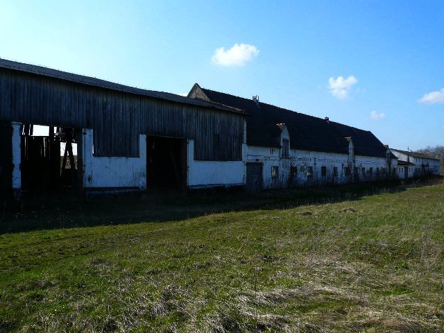 photo8.jpg