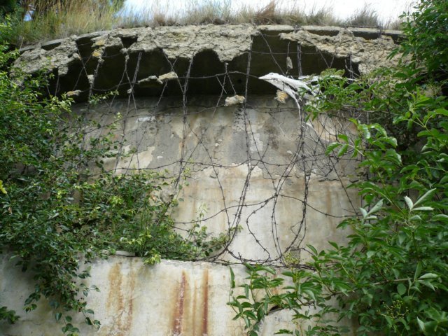 photo10.jpg