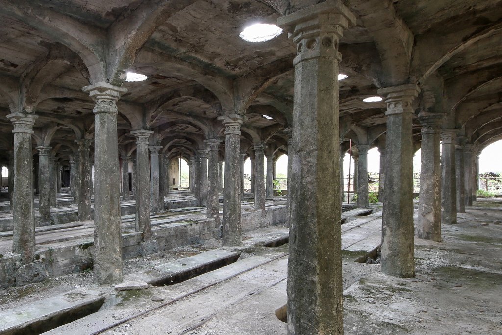 photo7.jpg
