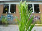 photo5_small.jpg