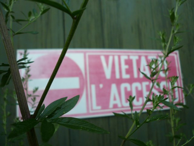 photo7.jpg
