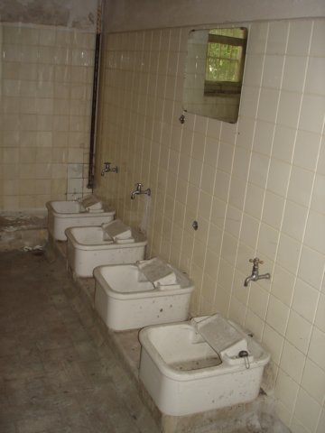 photo6.jpg
