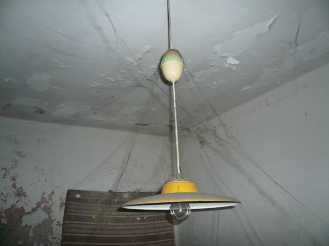 photo7.jpg