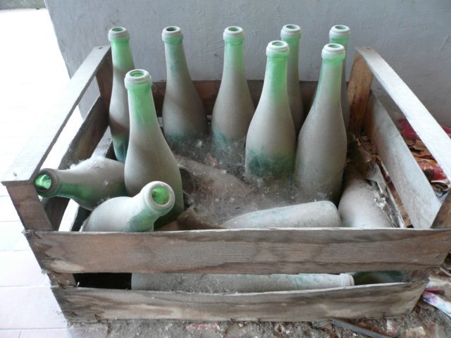 photo3.jpg