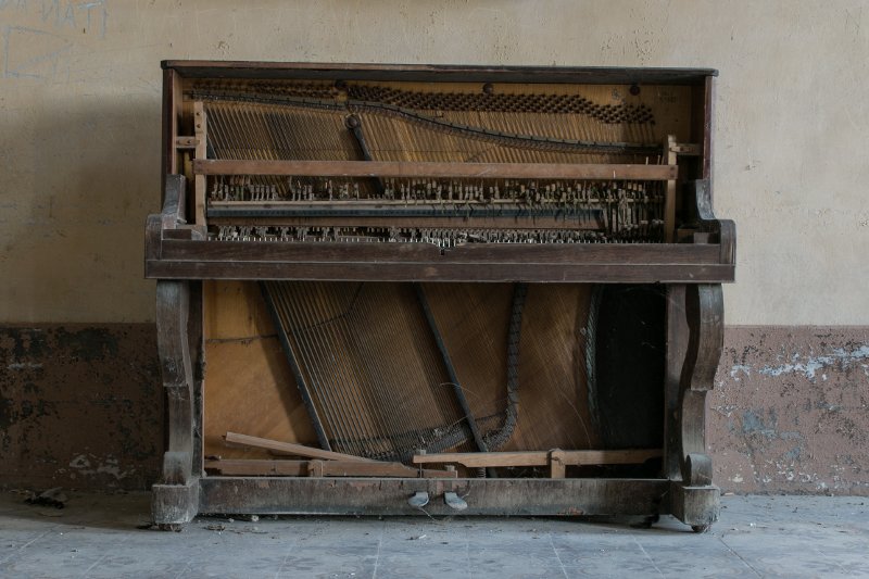 photo6.jpg