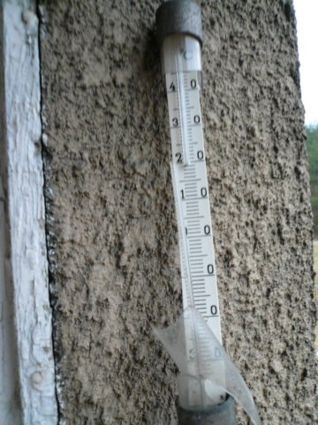 photo11.jpg