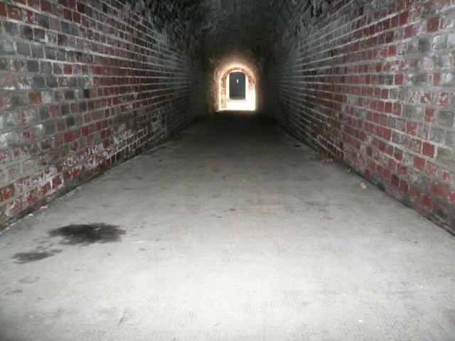 photo9.jpg