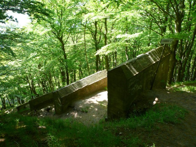photo.jpg