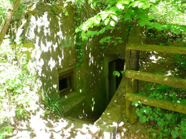 photo7.jpg