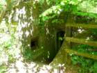 photo7_small.jpg