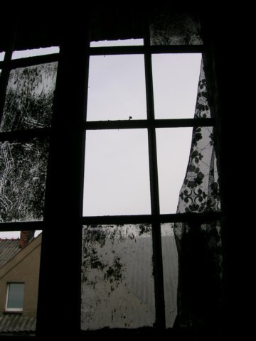 photo4.jpg