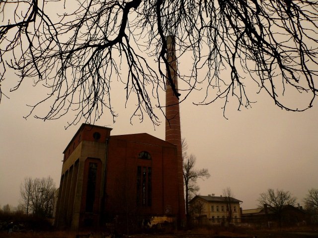 photo.jpg