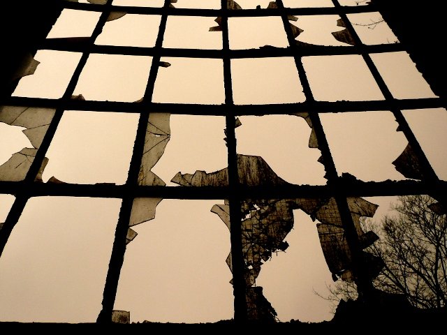 photo6.jpg