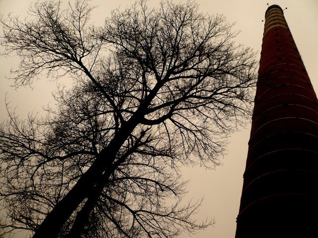 photo8.jpg