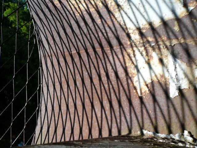 photo7.jpg