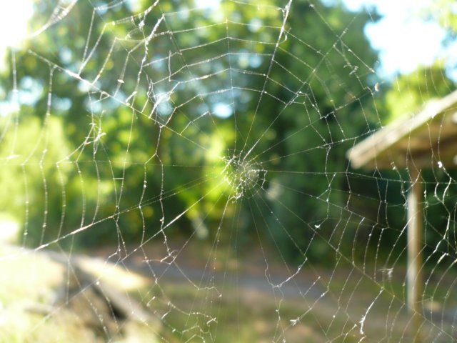 photo9.jpg