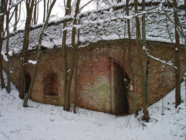 photo.jpg