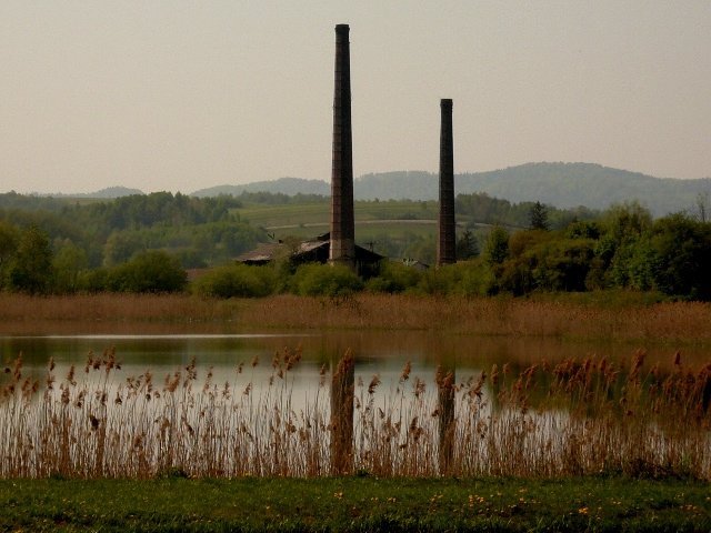 photo2.jpg
