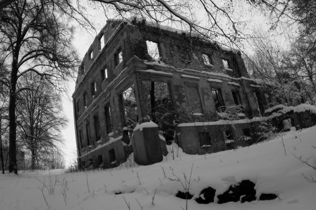 photo.jpg