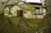 photo12_small.jpg