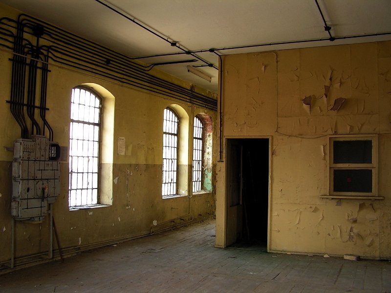 photo3.jpg