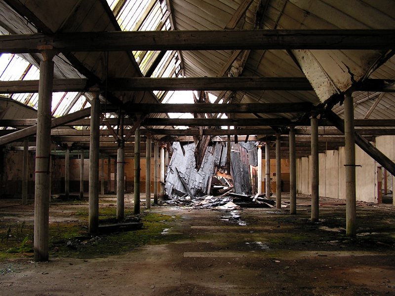 photo10.jpg