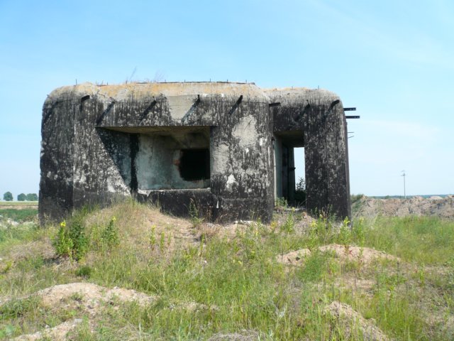 photo2.jpg