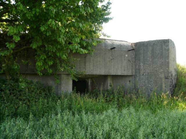 photo7.jpg