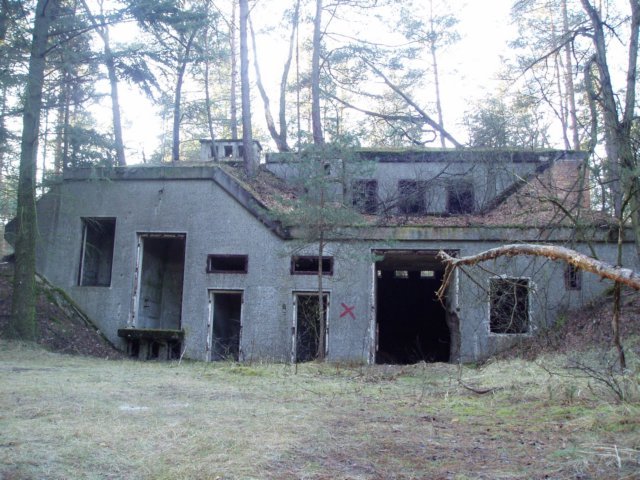photo.jpg
