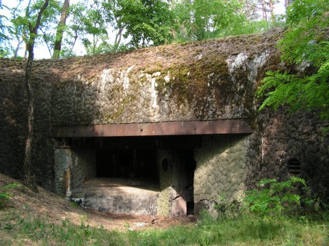 photo.jpg